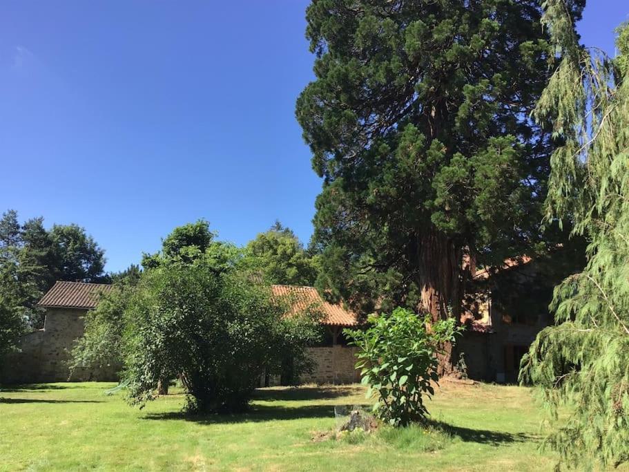 Maison Des Sequoias - Parc 1 Hectare- Veyrac Esterno foto