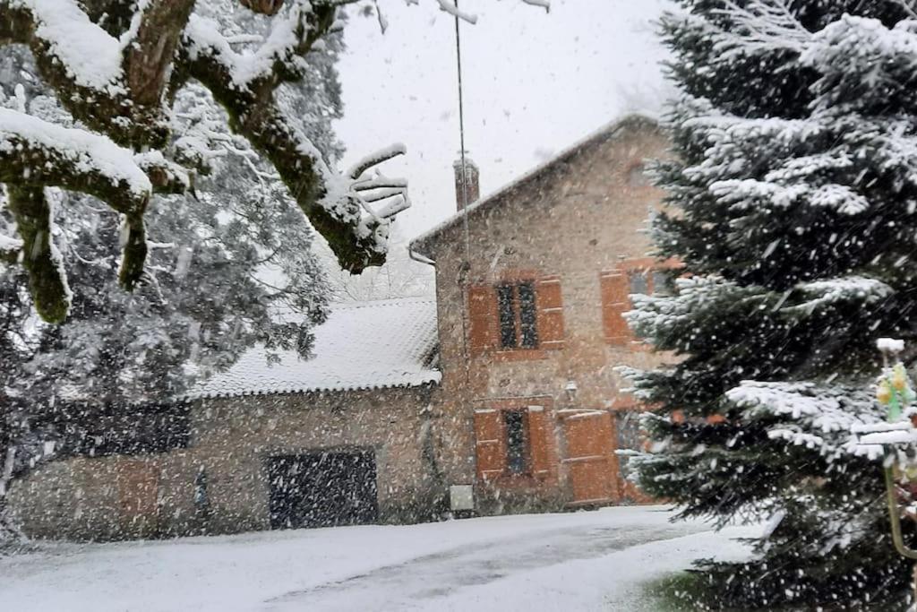 Maison Des Sequoias - Parc 1 Hectare- Veyrac Esterno foto