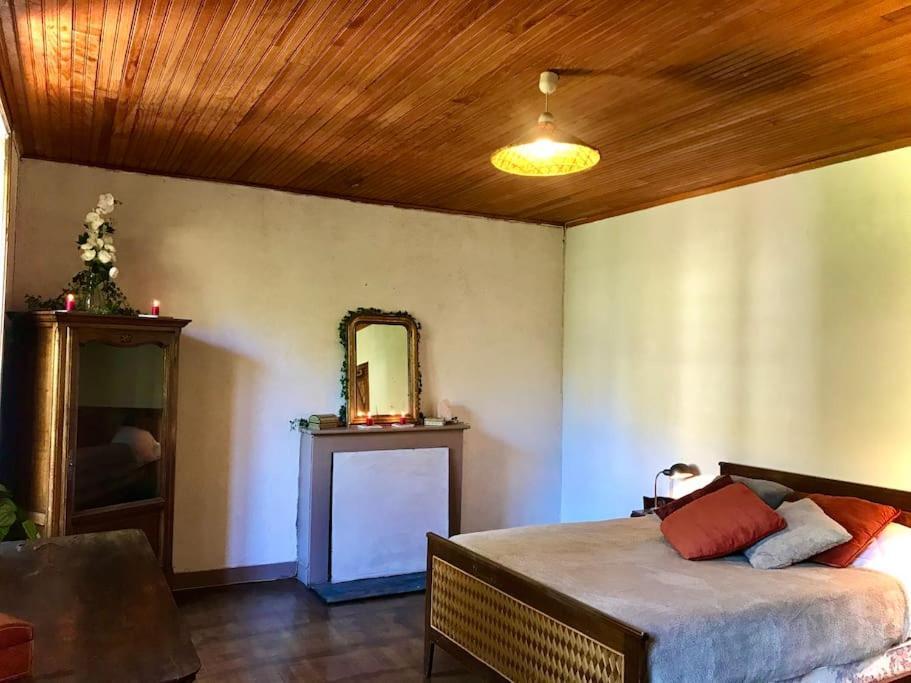 Maison Des Sequoias - Parc 1 Hectare- Veyrac Esterno foto