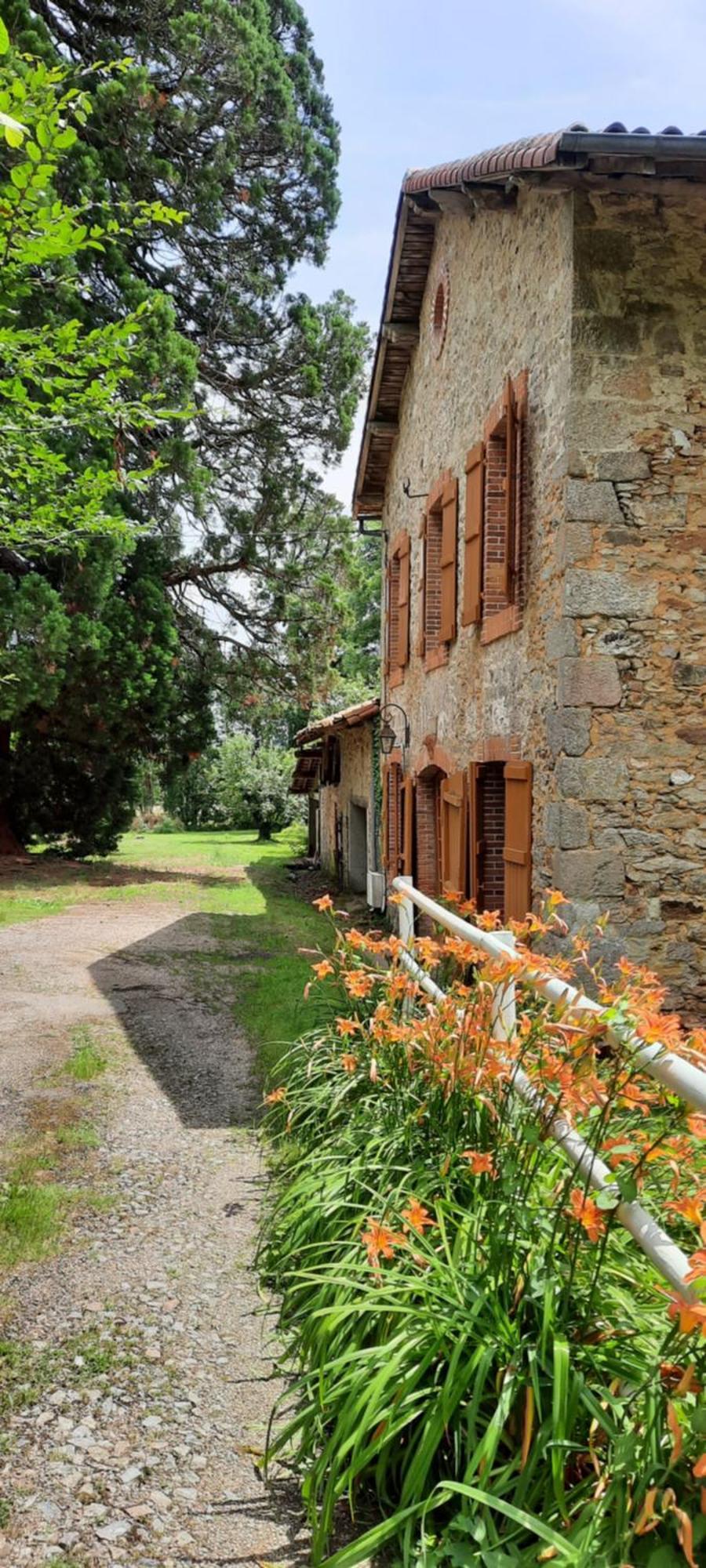 Maison Des Sequoias - Parc 1 Hectare- Veyrac Esterno foto